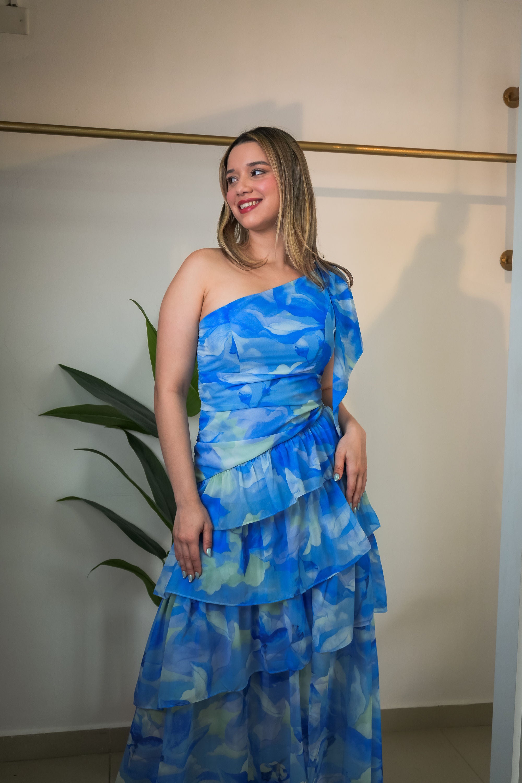 Chiffon print dress