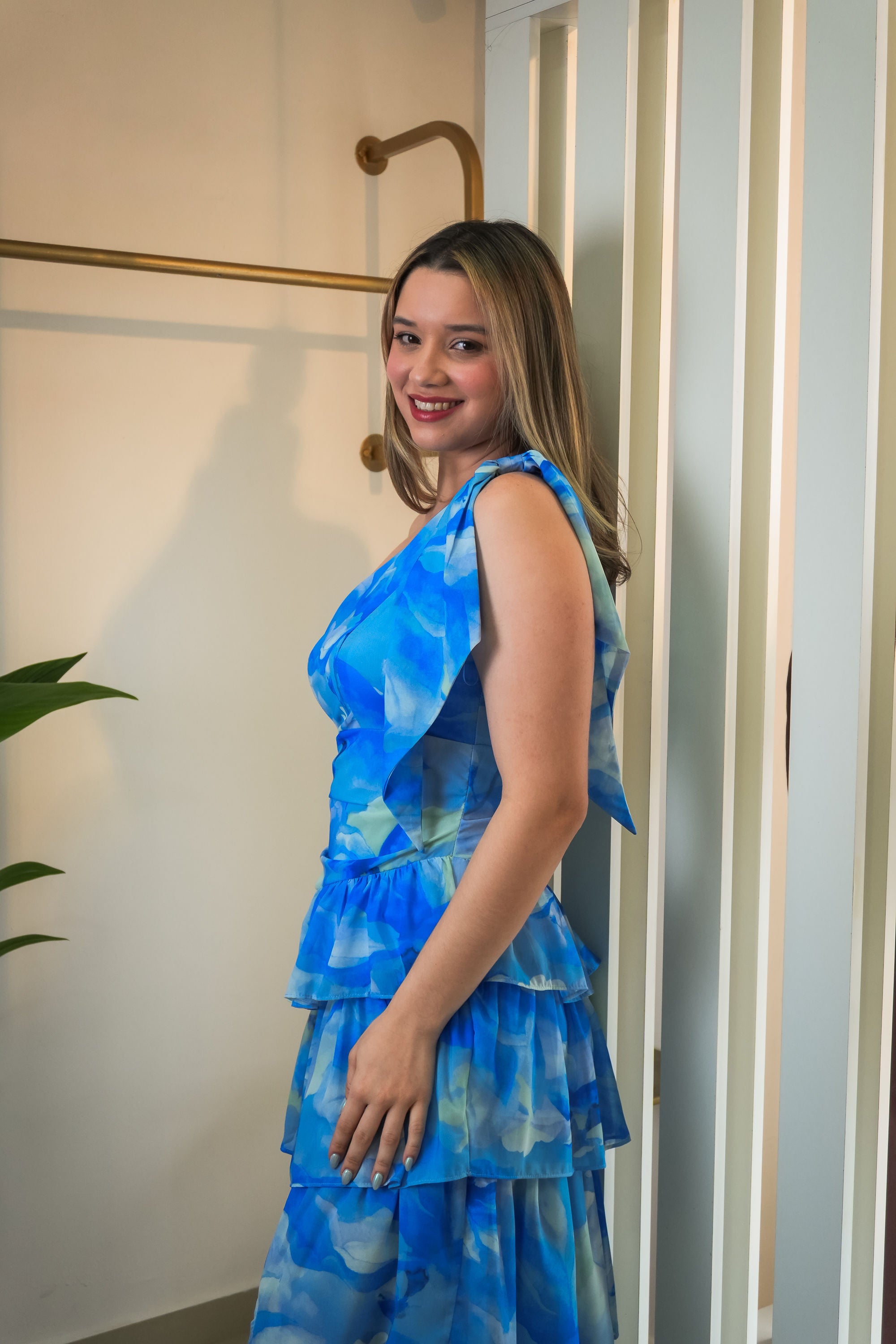 Chiffon print dress