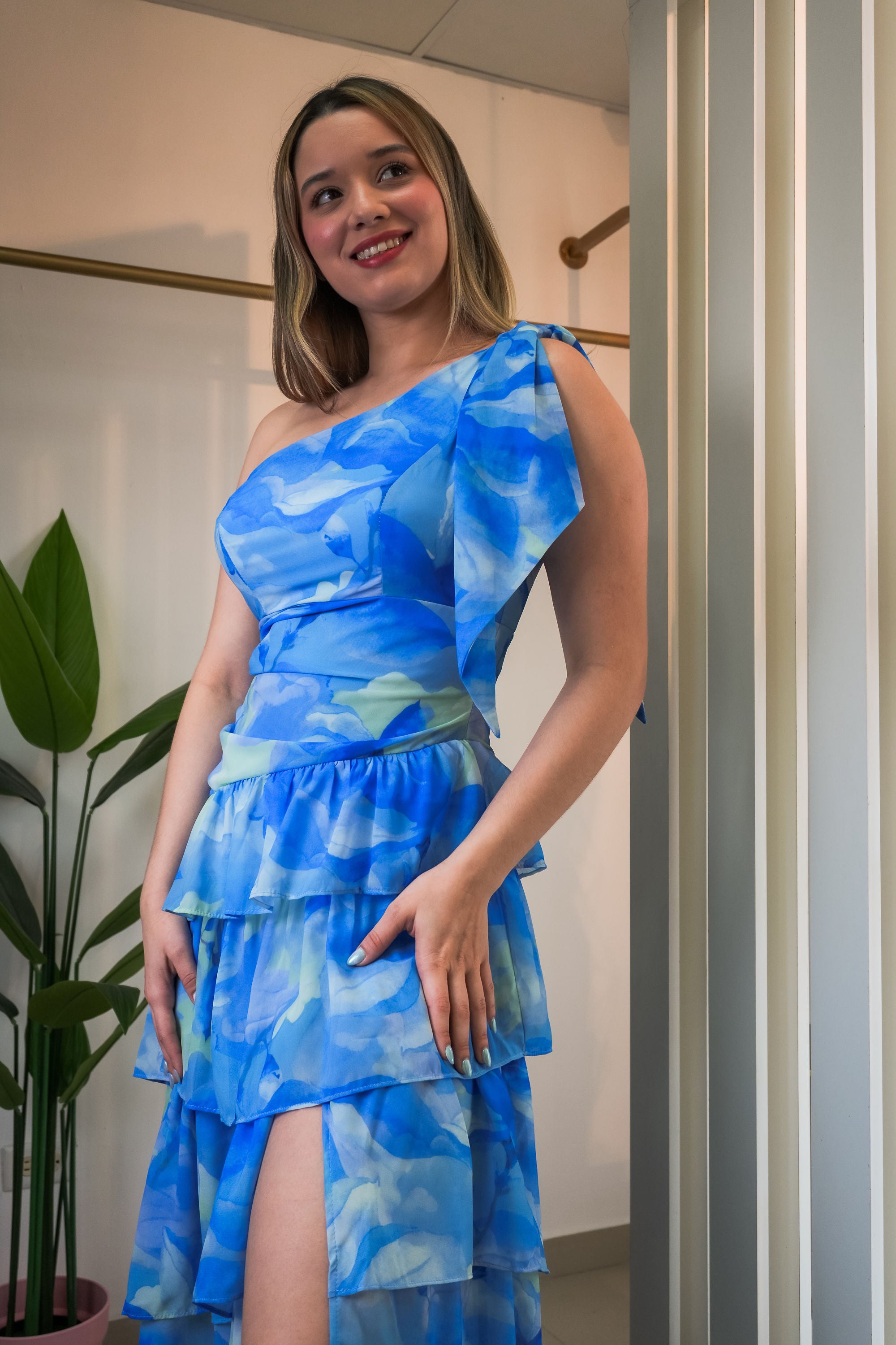 Chiffon print dress