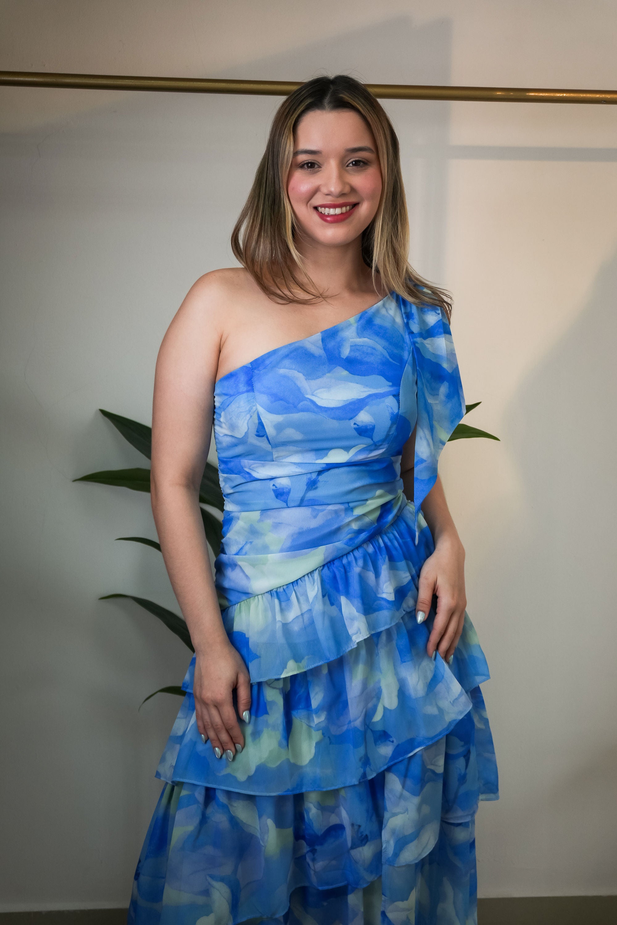 Chiffon print dress