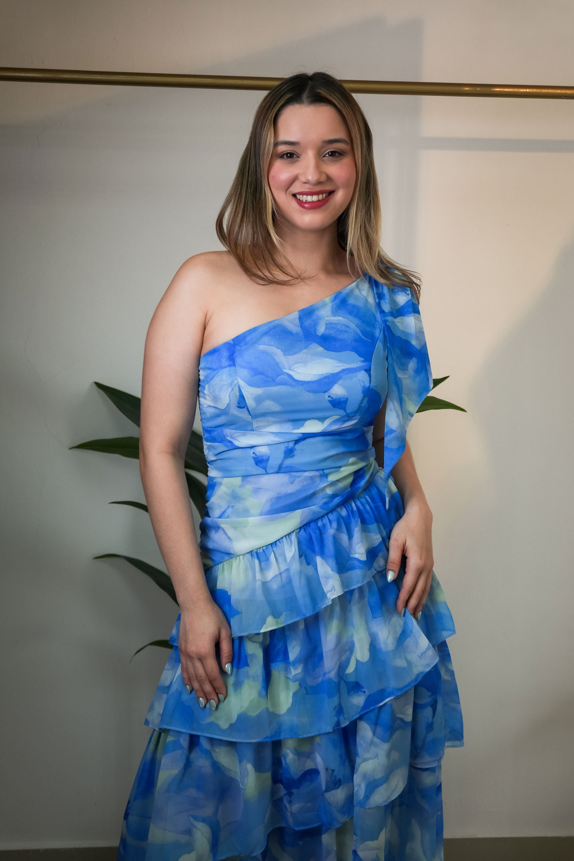 Chiffon print dress