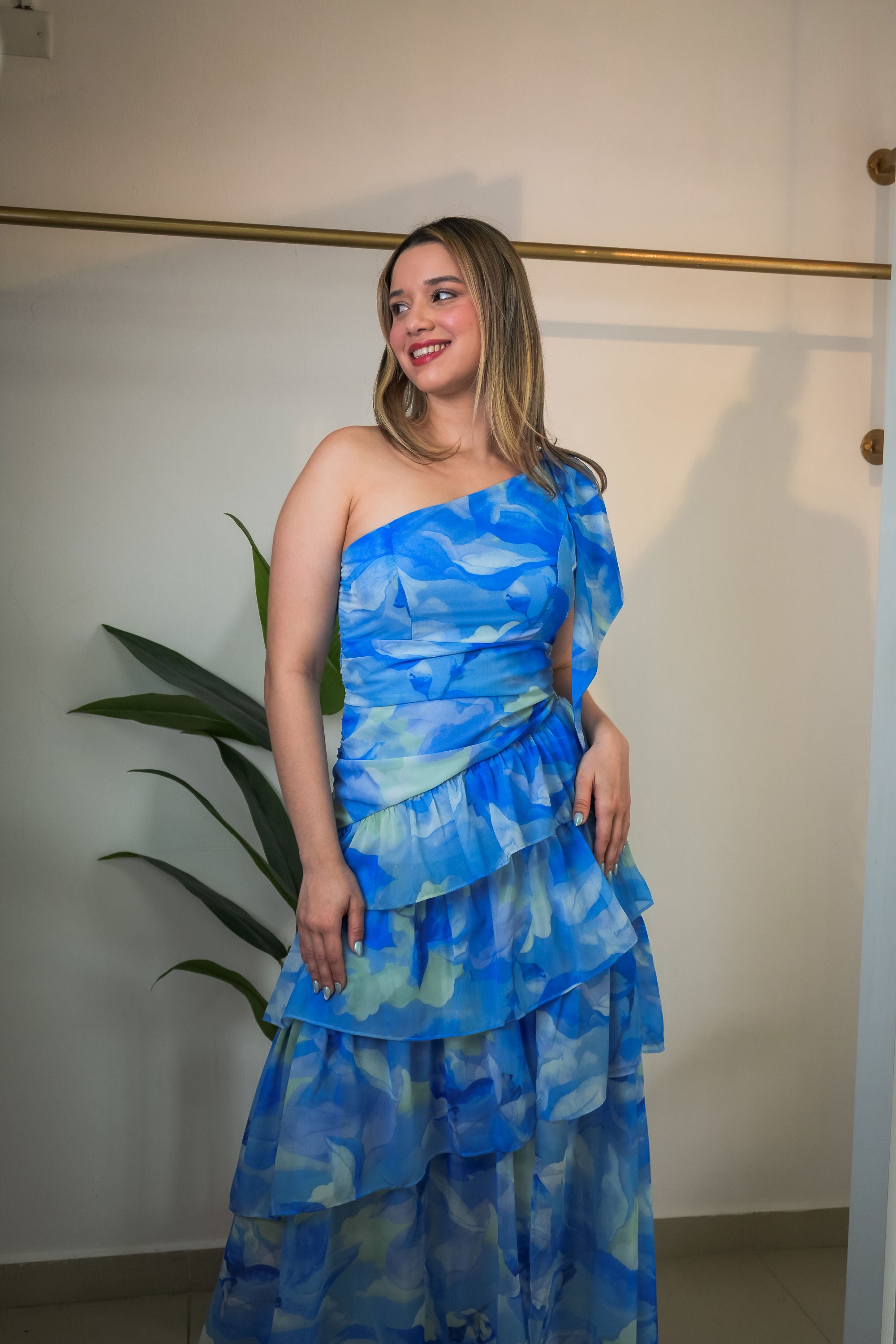 Chiffon print dress