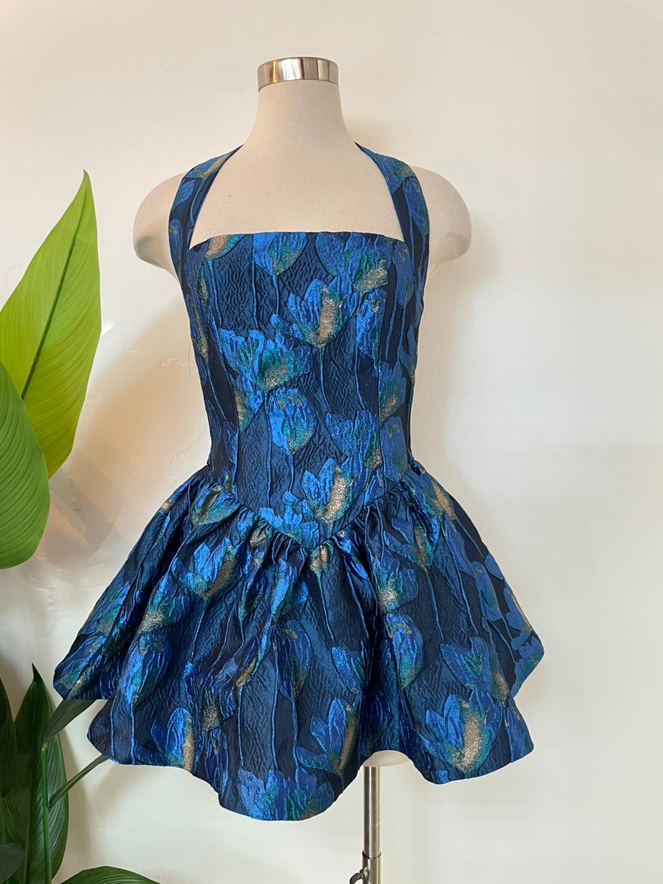 Twilight Garden Mini Dress